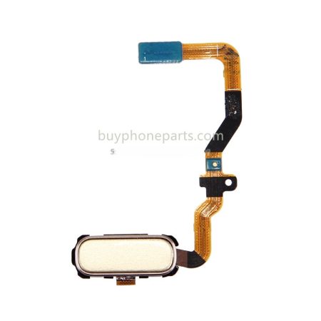 Samsung Galaxy S7 G930 Home Button Flex Cable Replacement (Gold)